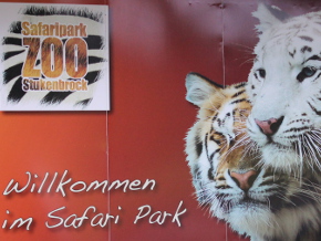 Blog_140827.1_Safari